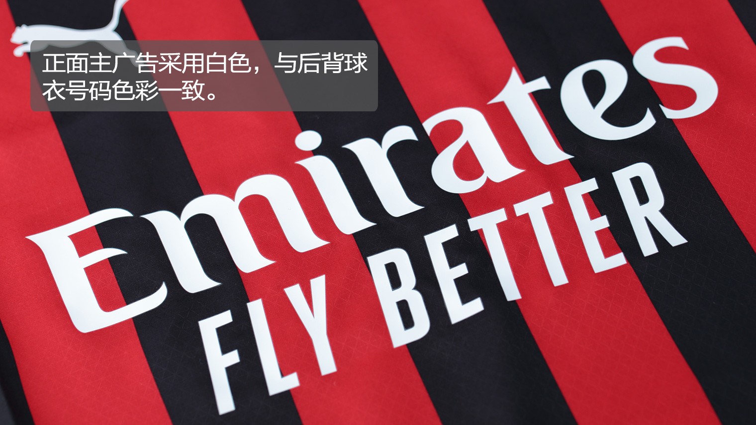 网尼克斯这 网尼克斯这